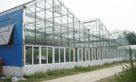 玻璃溫室骨架建造時需要注意什么?