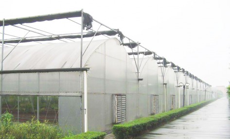 連棟薄膜溫室的使用方法都有哪些？